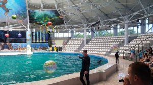 отдых в Крыму