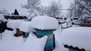 Зимняя Пасека (12.01.2026 года)