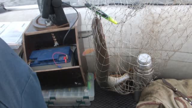 Вода прет,рыба разбрелась…