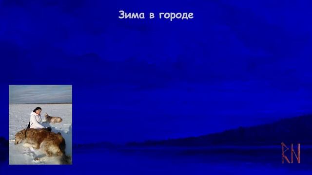 Зима в городе