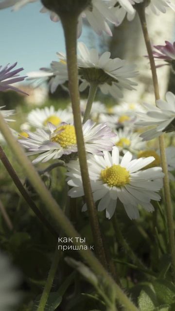 Бог меня бережет | Ирина Абдурахимова  #аудиокнига