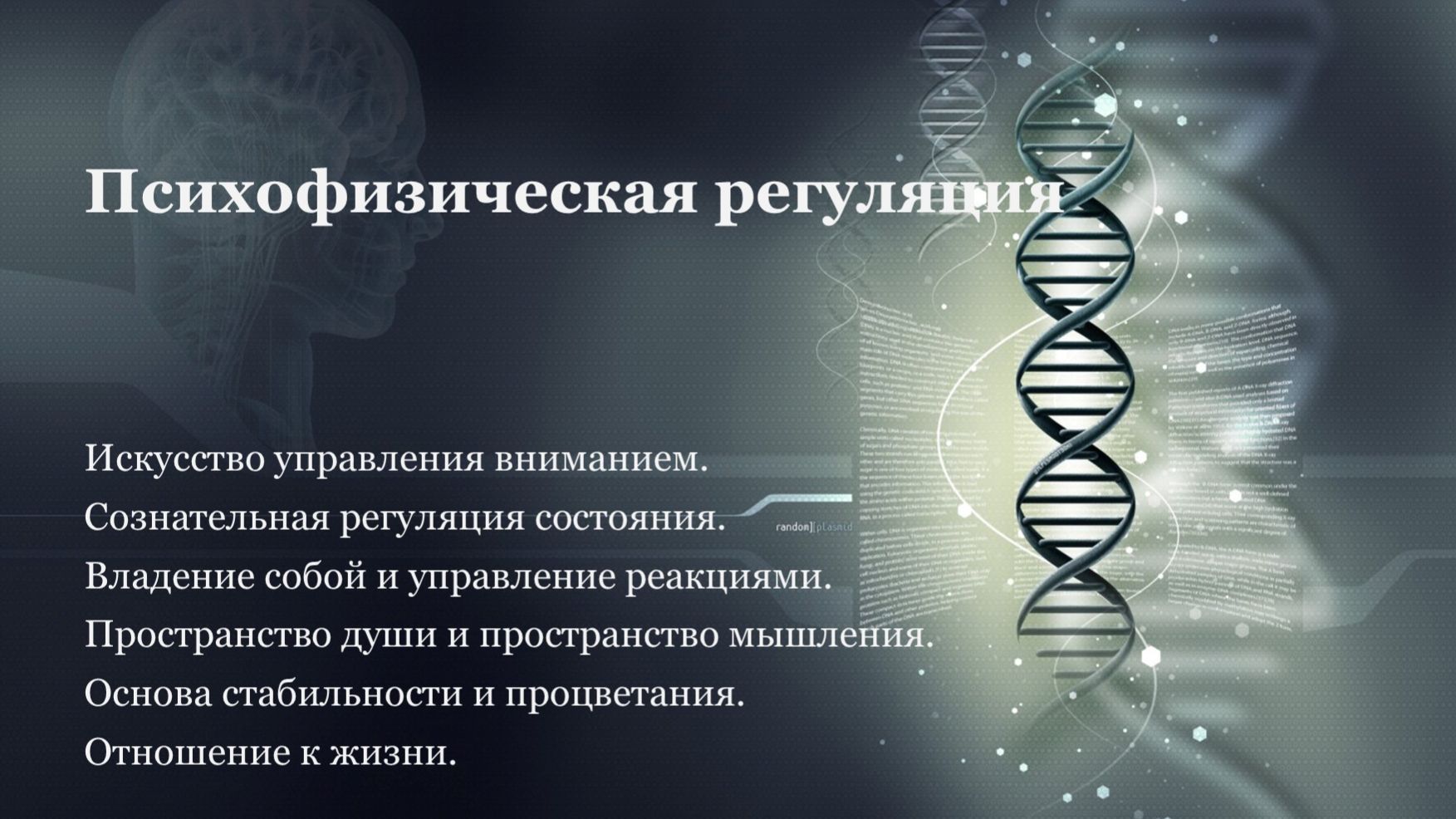 Энергия жизни. Закладывание основ Энергия жизни. Закладывание основ