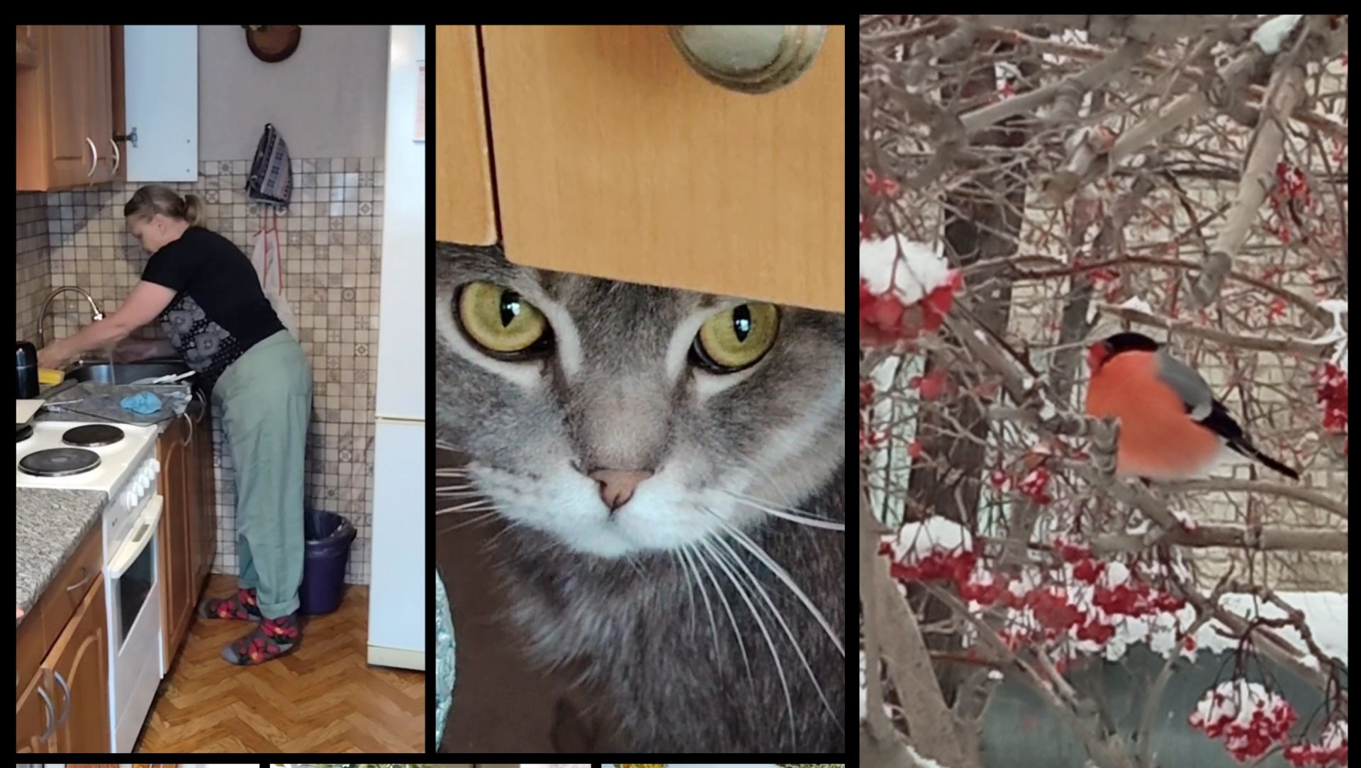 1 февраля 2026 год. : всего по маленьку.