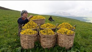 Готовим Сироп Одуванчика В Горах 🏔️🌼