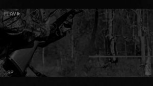 ДИЧЬ... Страшные истории на ночь.