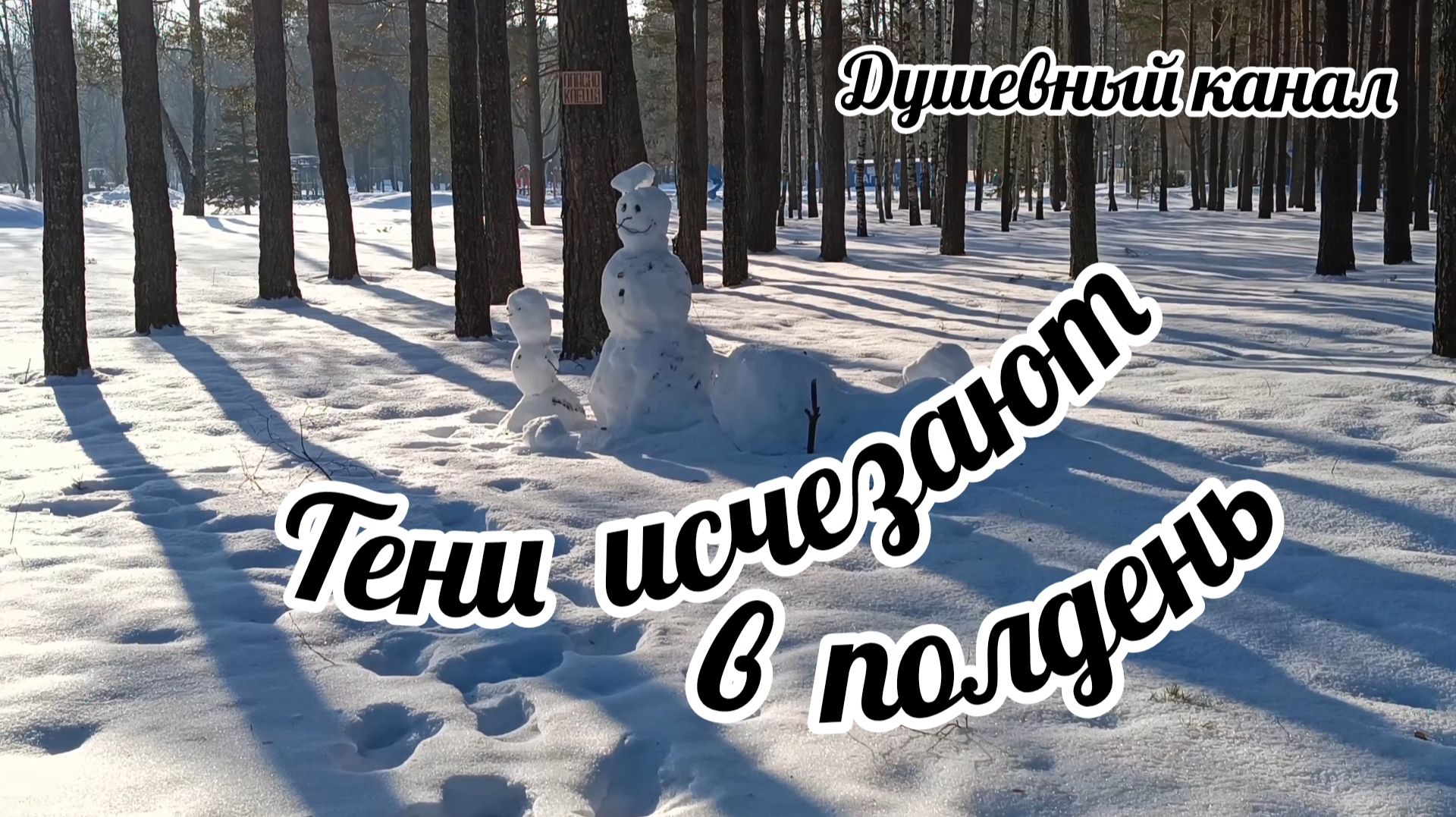 ТЕНИ ИСЧЕЗАЮТ В ПОЛДЕНЬ смотреть онлайн