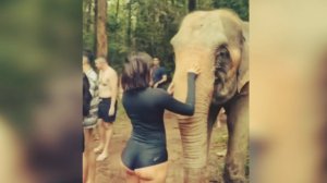 #смешныевидео -830