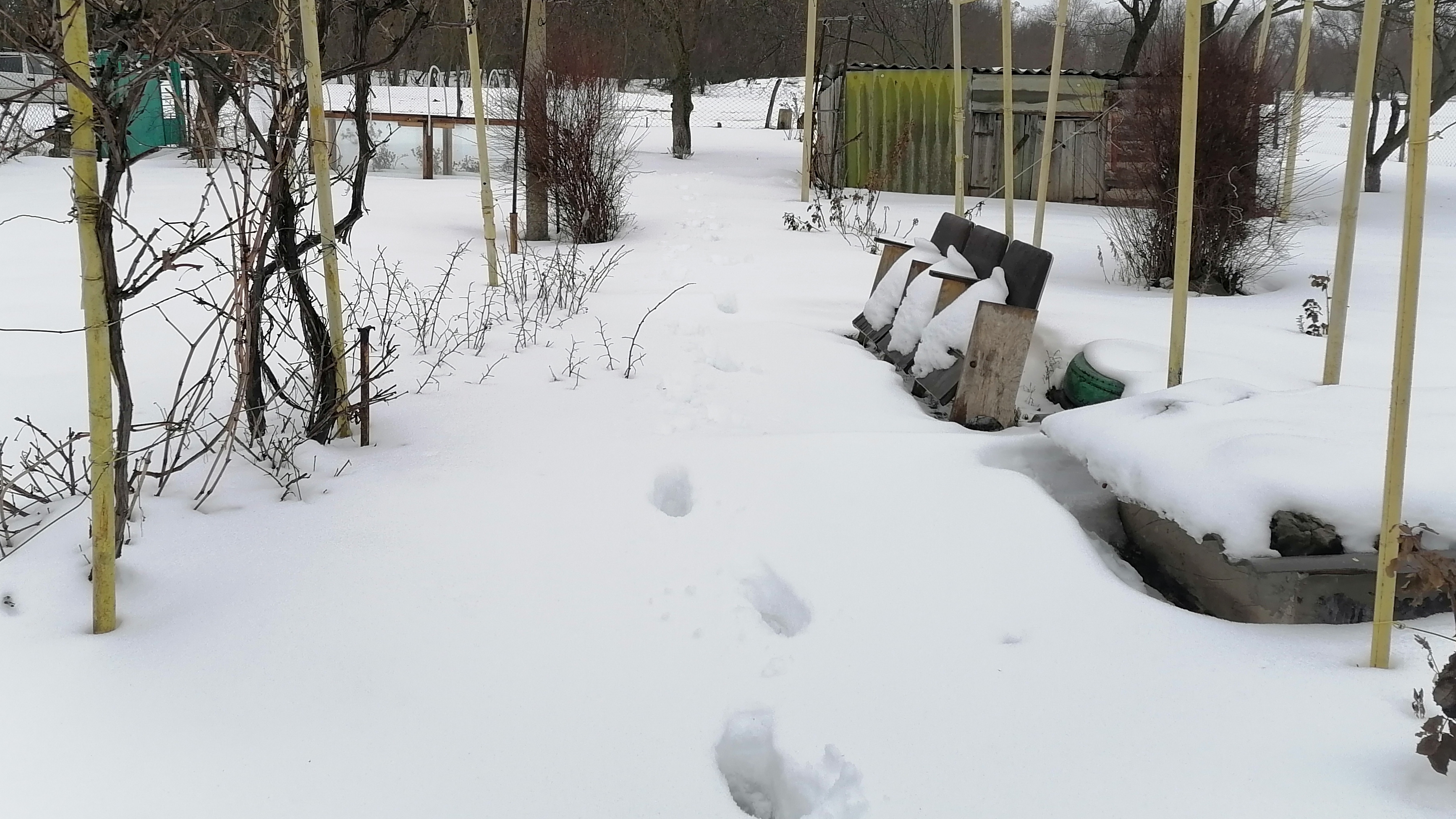 О новой работе / Зима в Ростове / Поехали на дачу / Влог смотреть онлайн