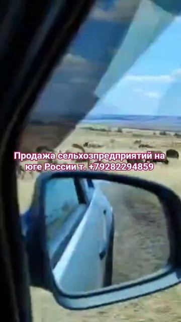 1000308395.mp4 1000308395.mp4