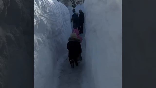 На Камчатке сугробы достигли высоты трёх метров смотреть онлайн