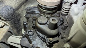 НИВА, Ярик виноват!