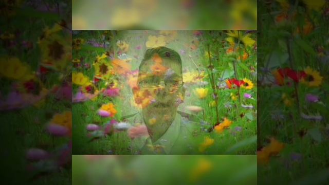 Иван Сергеевич Тургенев "Старуха" из сборника "Стихотворения в прозе" смотреть онлайн