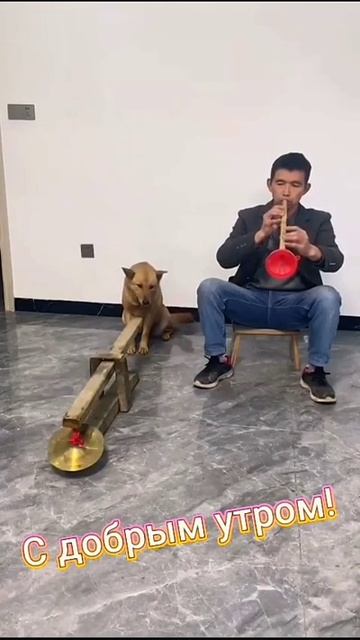 1000009621.mp4 1000009621.mp4