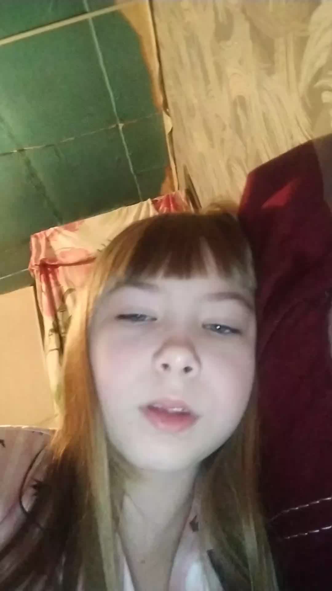 строим дом для бумажных собак смотреть онлайн