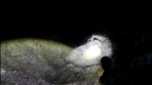 Усьвенские столбы сентябрь 2015 Пермский край ROADCONTROL159