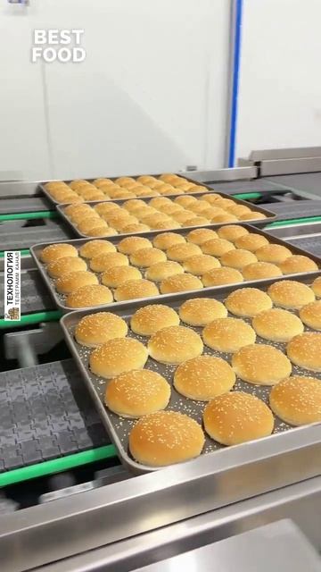 1645. Промышленная линия производства булочек для бургеров смотреть онлайн