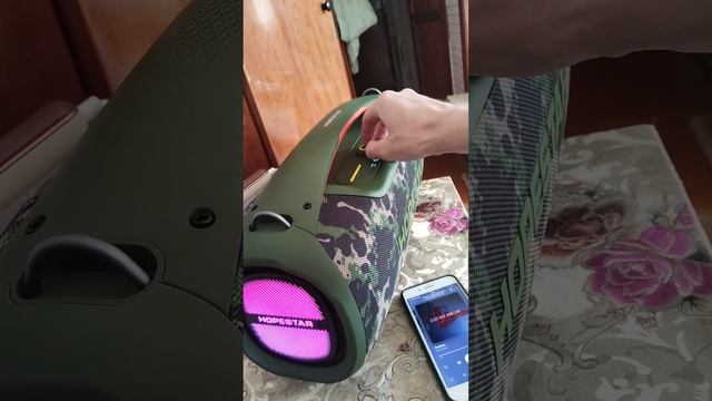 Колонка Hopestar A-60