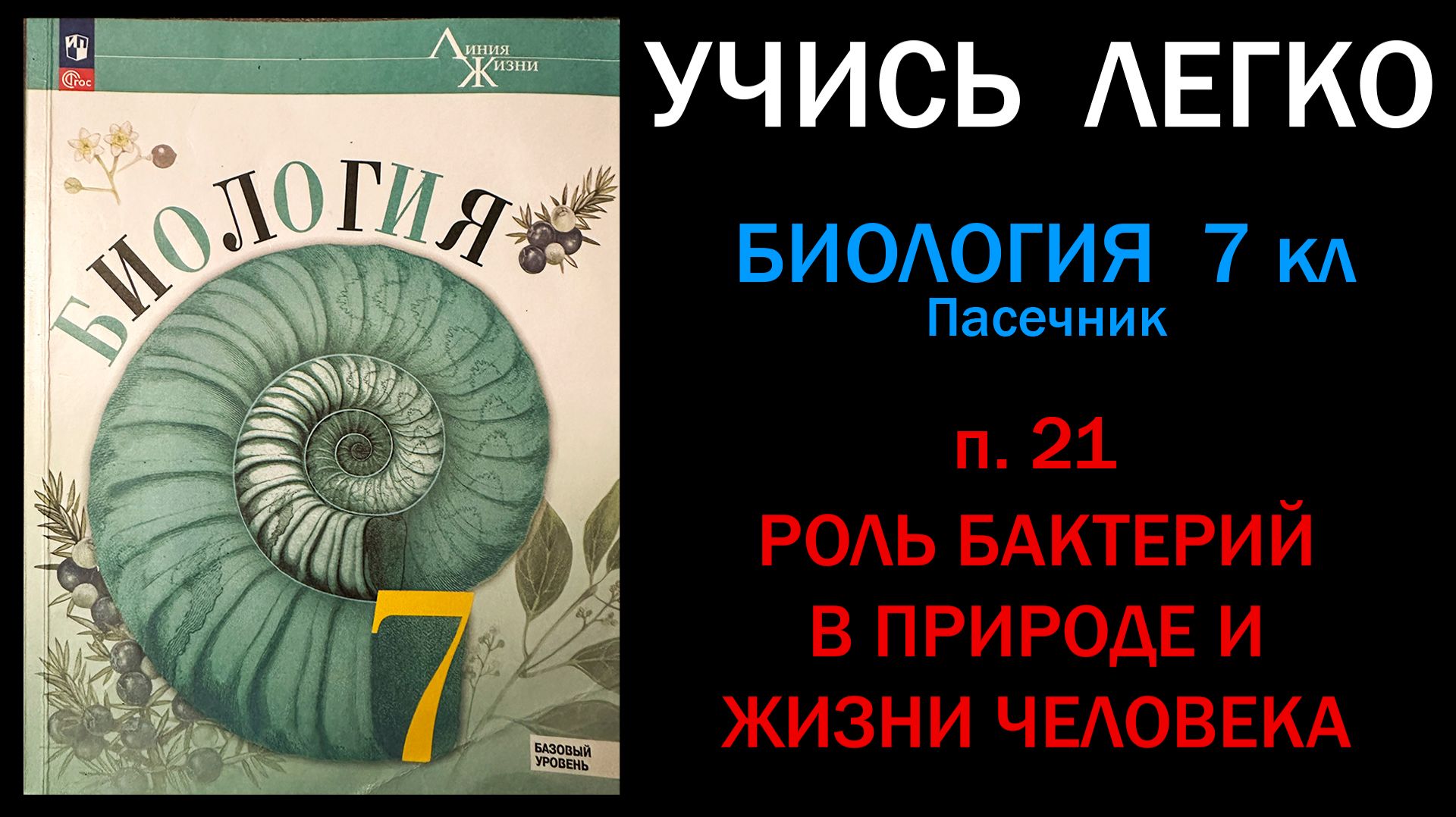 Биология 7 класс Пасечник, Суматохин параграф 21 Роль бактерий в природе и жизни человека. смотреть онлайн