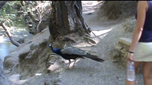 Родос — 2012 Родос — 2012