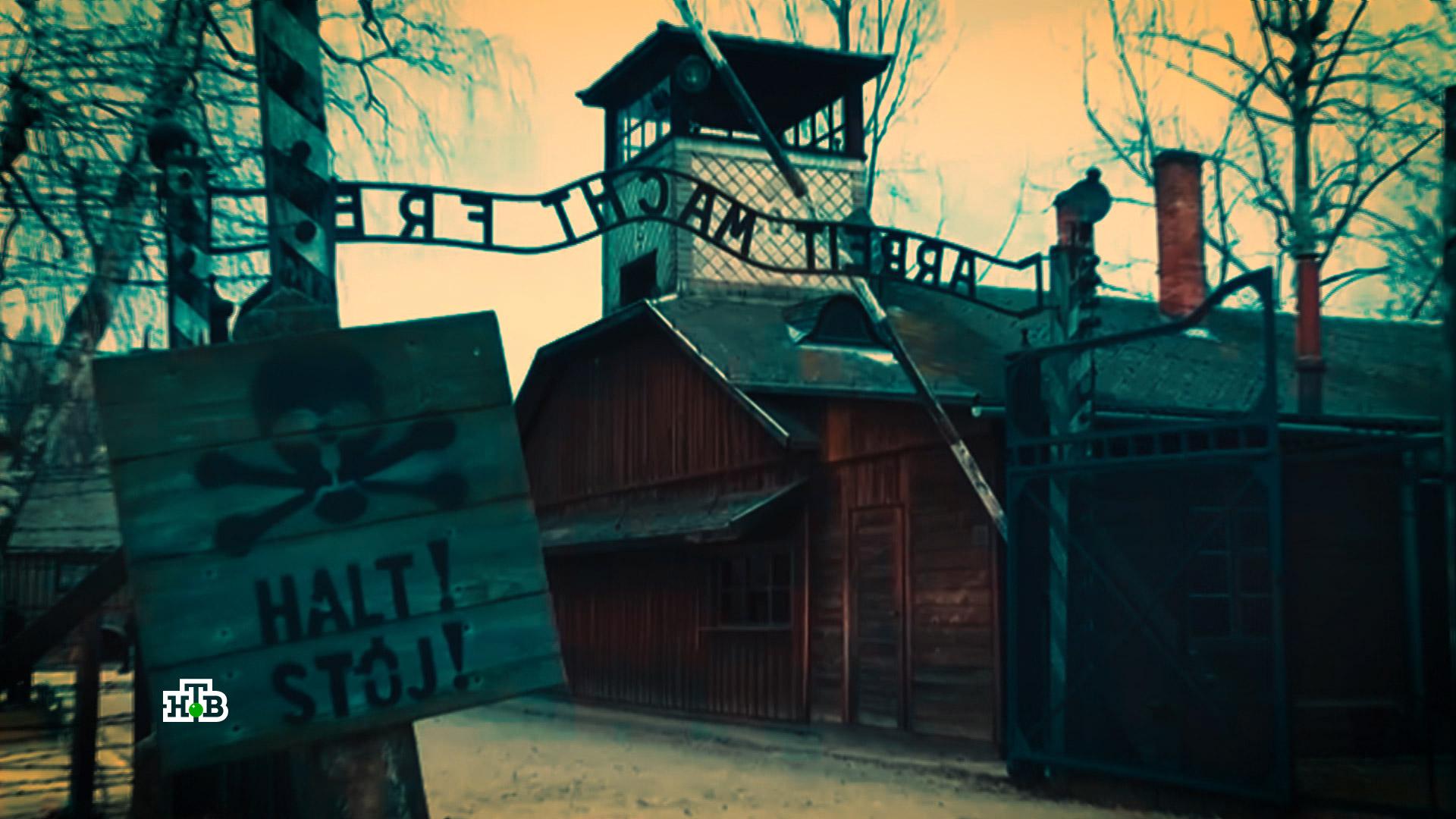 В Европе назвали помешательство попытки возложить на СССР вину за холокост | «Итоги недели» смотреть онлайн