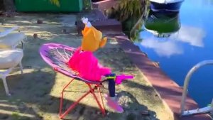 Настя и папа играют в ресторан