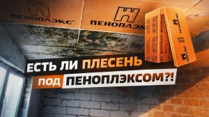 Пеноплэкс спустя 3 года - появится ли плесень? Утепляем потолок изнутри!