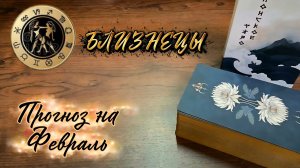 БЛИЗНЕЦЫ. Экспресс-прогноз на Февраль 2026