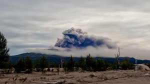 Вулкан Шивелуч выбросил пепел на 6 км над уровнем моря