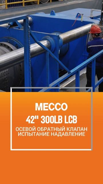 42'' 300LB LCB ОСЕВОЙ ОБРАТНЫЙ КЛАПАН ИСПЫТАНИЕ НАДАВЛЕНИЕ-MECCO
