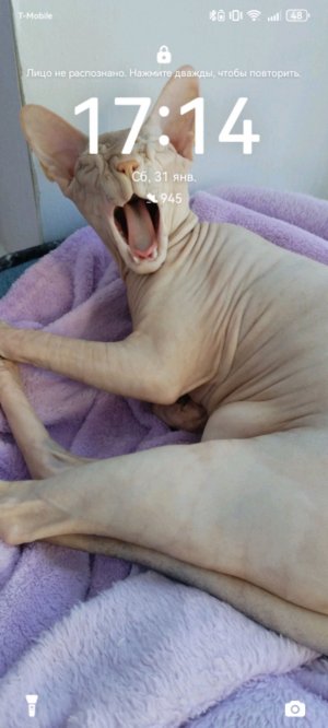 всем хай ребята с вами Арина