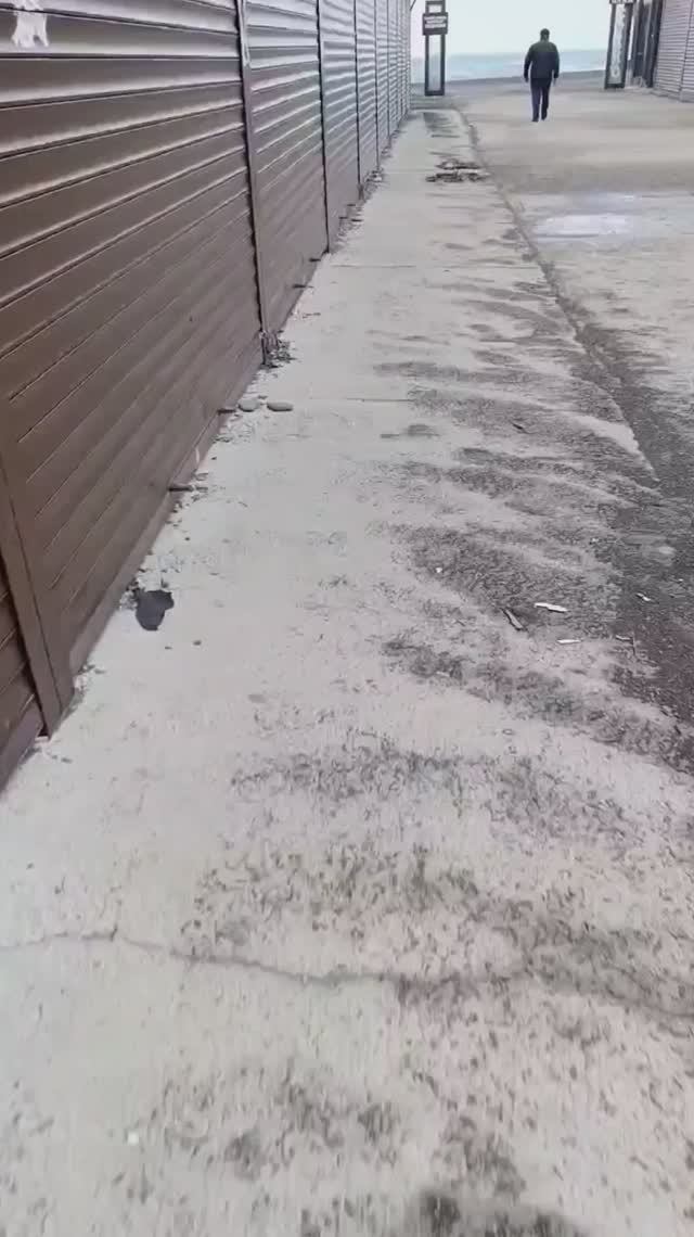 Пляж долины Сукко 31 Января 2026 года в 12-и км от Анапы смотреть онлайн