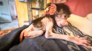 Люся в ШОКЕ, она страшно заревновала Влада к Степашке!