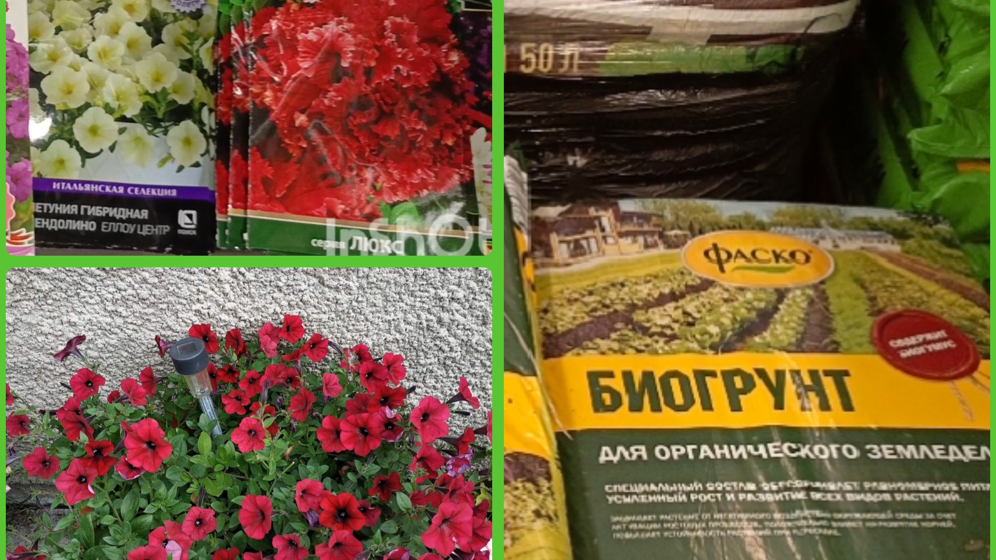 Цены на семена петуний и грунтов Лемана ПРО