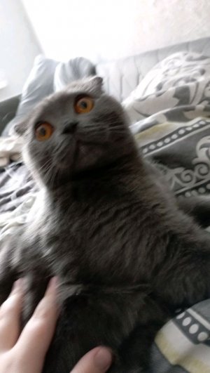 незнаю сижу