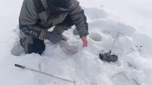 5723.mp4 смотреть онлайн