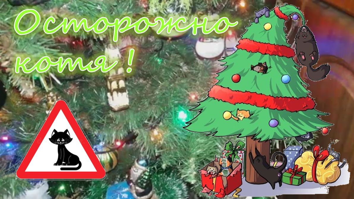 Осторожно, котя!
