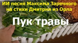 20260201 ИИ песня Травы зелёной пук я сушить укроп петрушку Максима Заречного стихи Дмитрия из Орла
