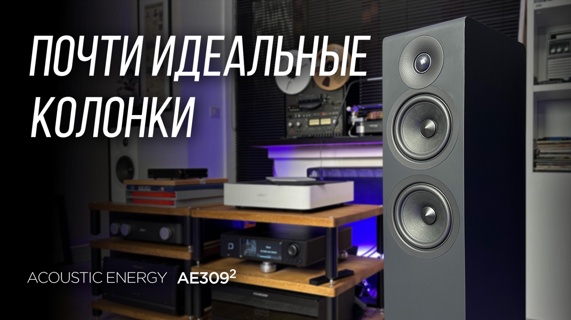 Напольники без недостатков Acoustic Energy AE309 2 смотреть онлайн