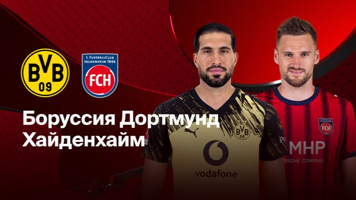 Боруссия Д - Хайденхайм. Обзор матча. смотреть онлайн
