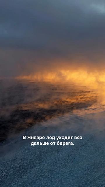 Какой этап заворожил Вас больше всего? Какой этап заворожил Вас больше всего?