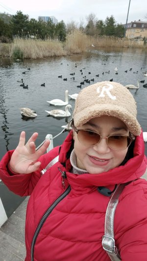 Иду домой с моря