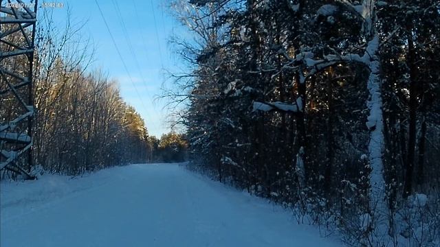 прогулка по лесу