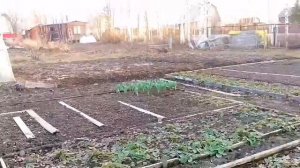 2 мая ..Собрались с друзьями на даче