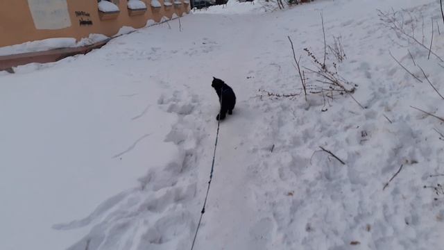 Погода дозволяет погулять.