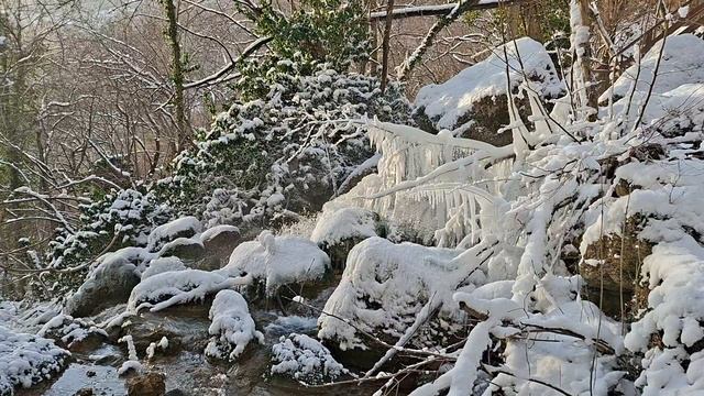Зимний лес/ Горный ручей/ Видео на фон #зимнийпейзаж #природа #nature #naturerelaxation #winter