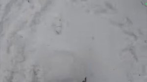 Ремонт землянки в Чернобыле месяц спустя. Печь из сугроба. Живу в Зоне Отчуждения (Влад резнов) реак