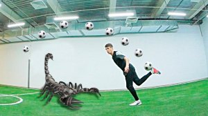 СУПЕР ФИНТ СКОРПИОН | ОБУЧЕНИЕ | ФРИСТАЙЛ ФУТБОЛ ПАННА