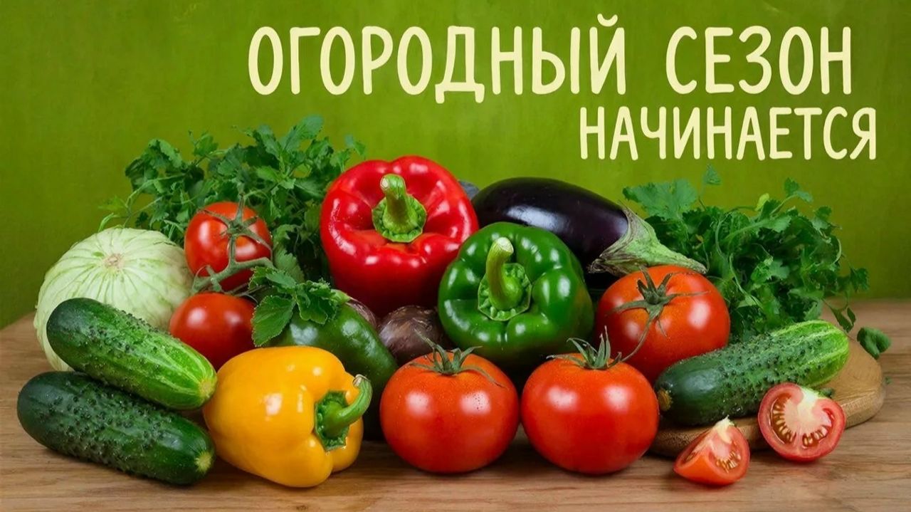 Начинаю огородный сезон Семена смотреть онлайн