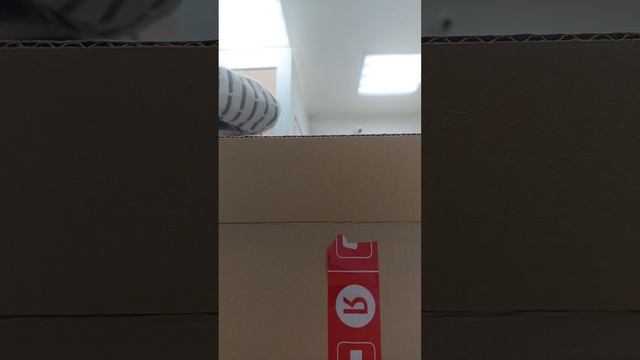 1000044414.mp4 смотреть онлайн