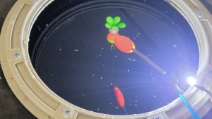 ЛЕЩЕВАЯ РЫБАЛКА ЗИМОЙ ПОПАЛИ НА РАЗДАЧУ